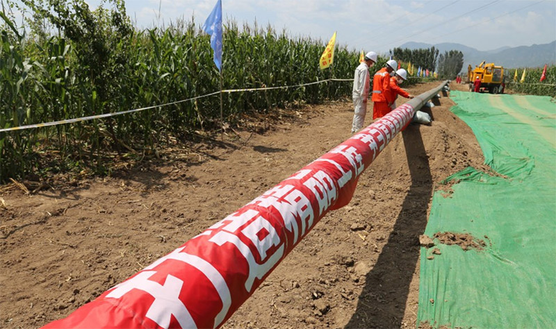 c��(�й���) - �ٷ���վ